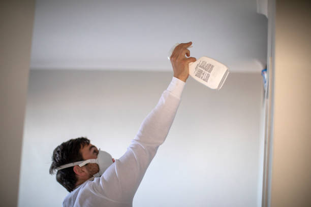 Professional Mold Removal in Mountain Home Af, ID