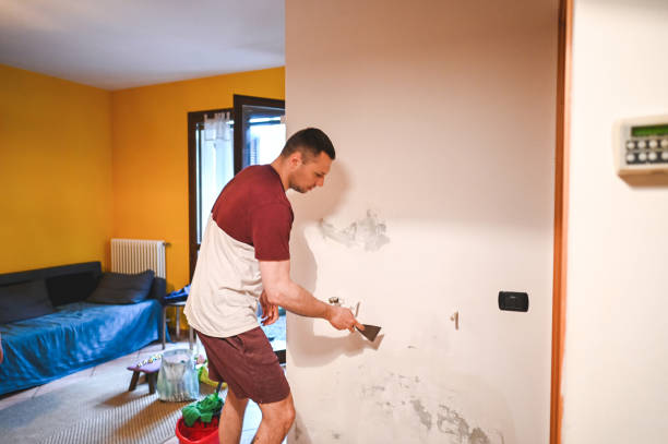 Best Mold Remediation  in Mountain Home Af, ID